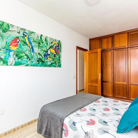 Spring Penthouse Apartment ปาล์ม-มาร์ ภายนอก รูปภาพ